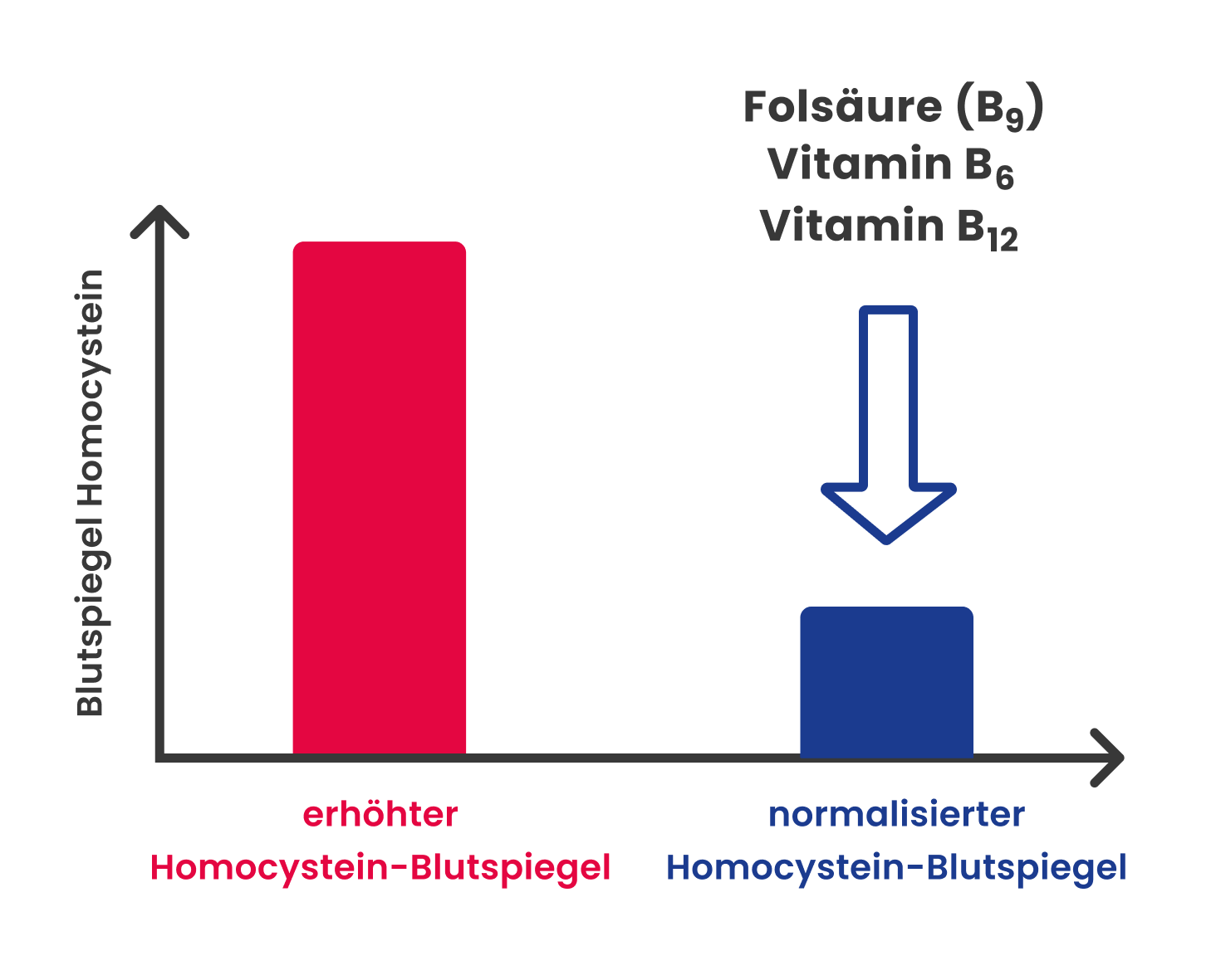 B-Vitamine regulieren Homocystein-Blutspiegel im Alter