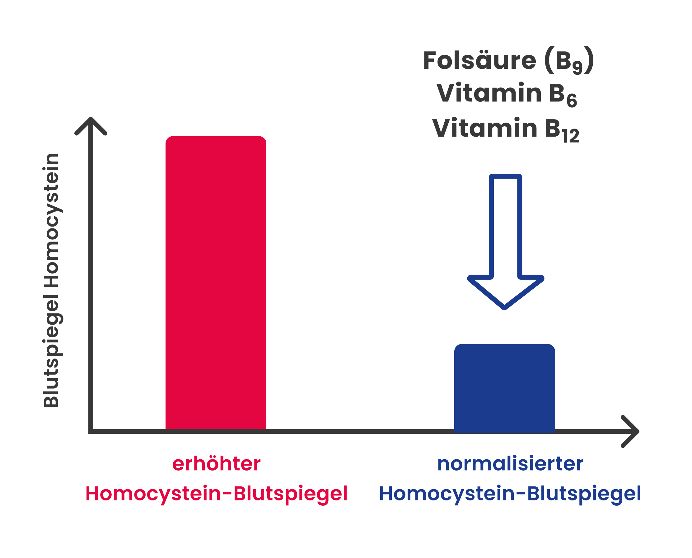 B-Vitamine regulieren Homocystein-Blutspiegel im Alter