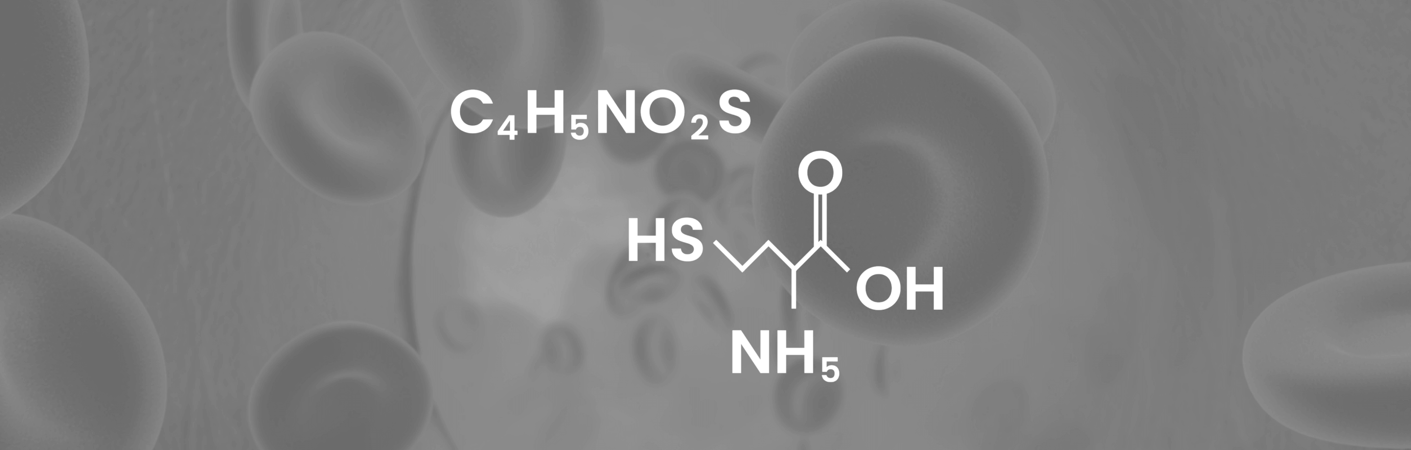 Geschichte von Homocystein