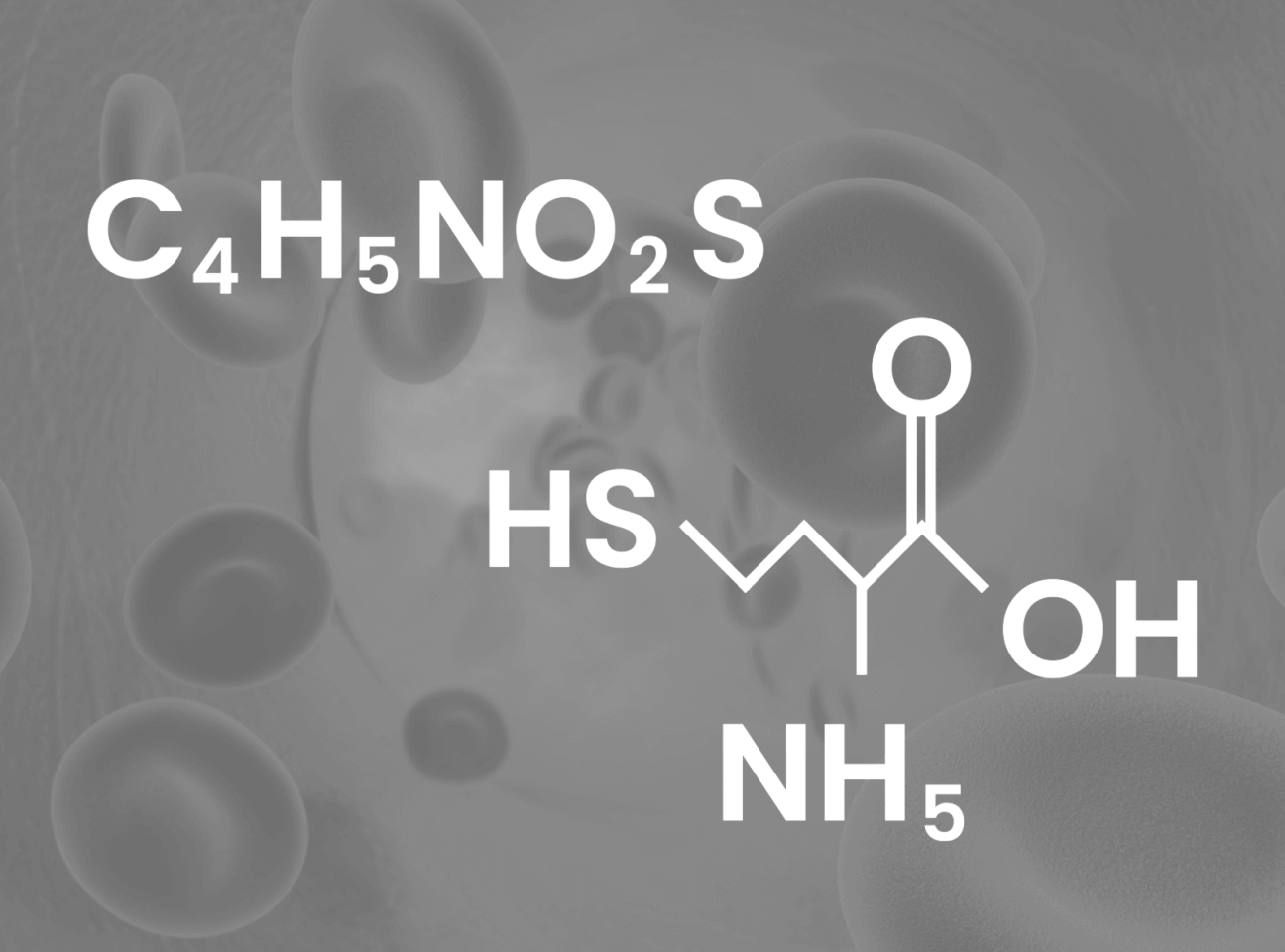 Geschichte von Homocystein