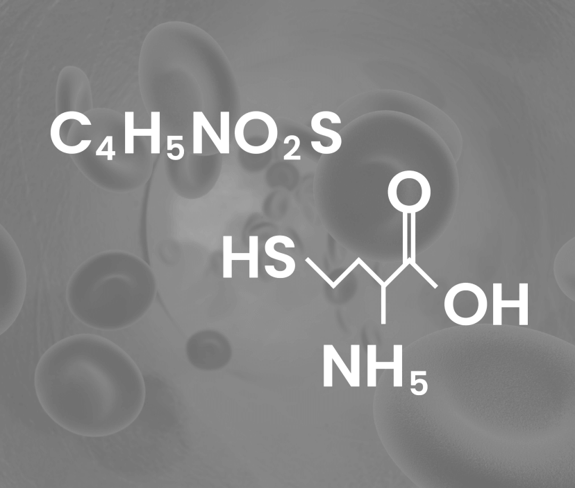 Geschichte von Homocystein