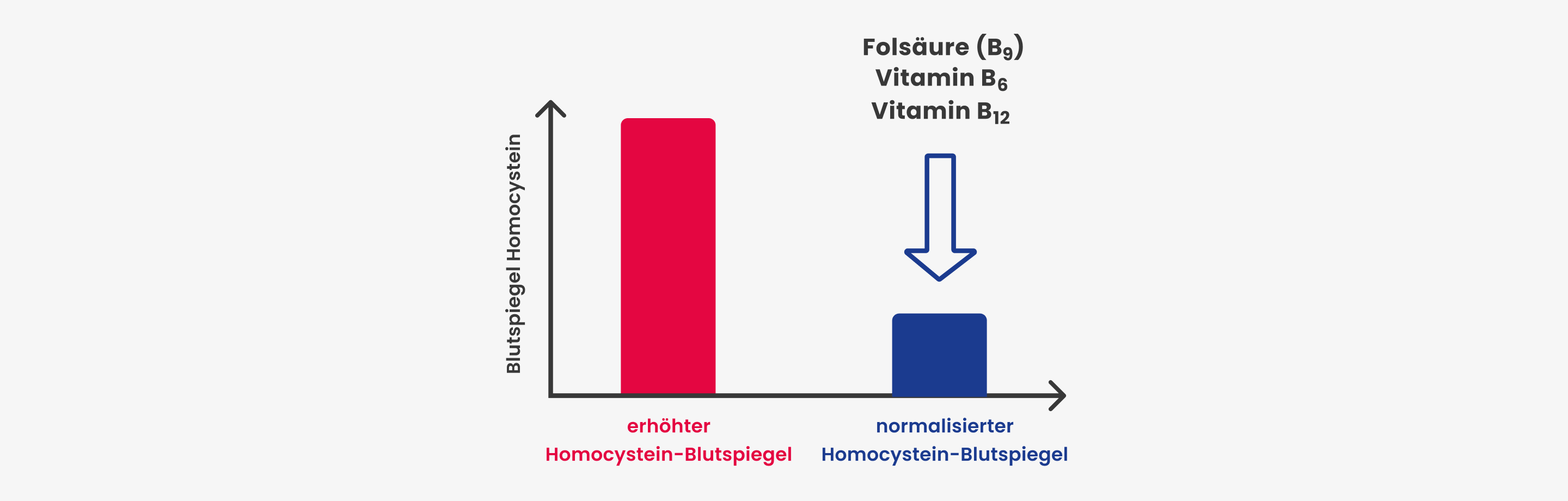 Homocystein senken