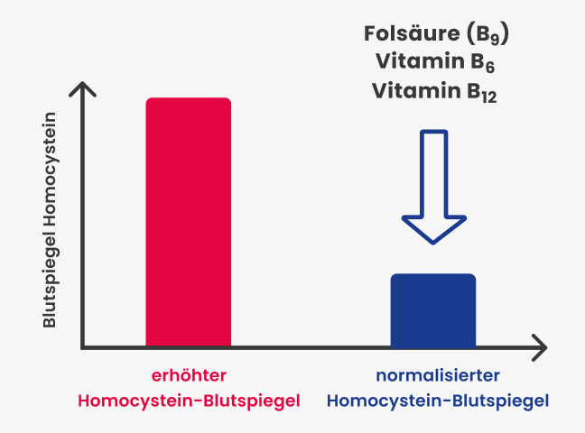 Homocystein senken