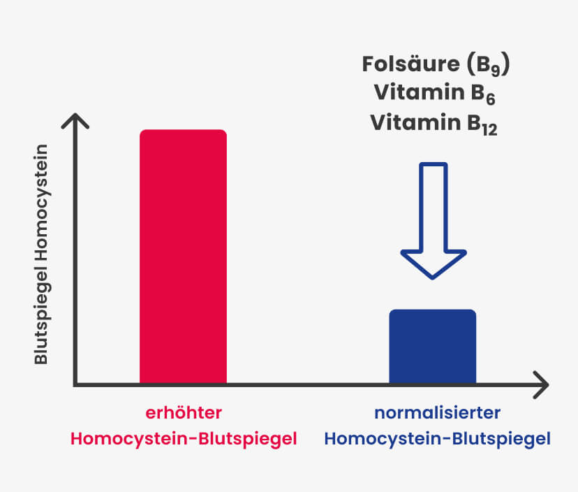 Homocystein senken