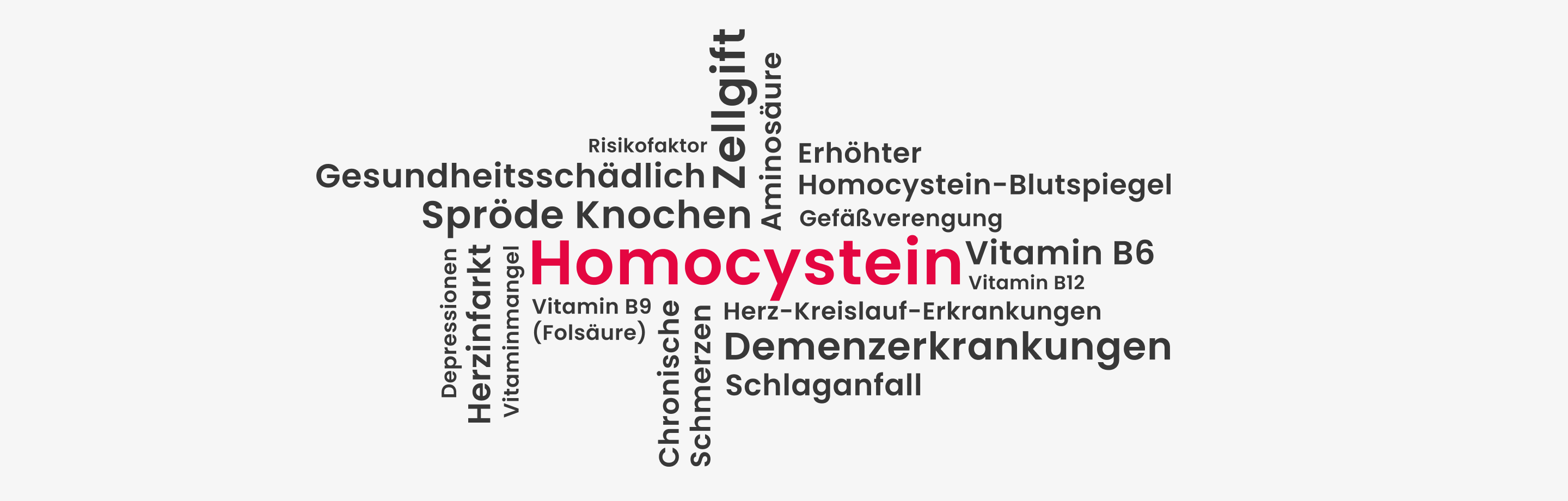 Auswirkungen von Homocystein