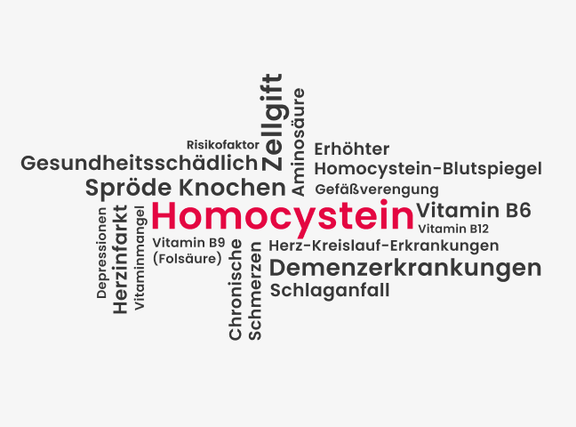 Auswirkungen von Homocystein