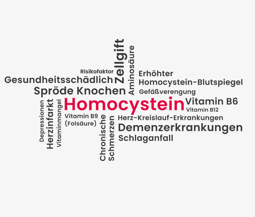 Auswirkungen von Homocystein